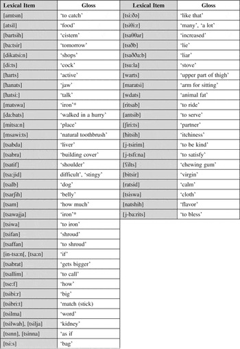 Regional dialect leveling in Najdi Arabic: The case of the ...