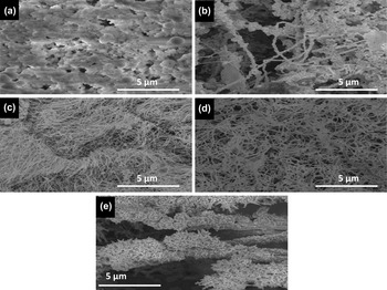 Gold Nanowires With High Aspect Ratio And Morphological Purity Synthesis Characterization And Evaluation Of Parameters Journal Of Materials Research Cambridge Core