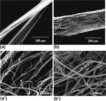 Blooming growth of durable carbon nanotubes bundles from graphite