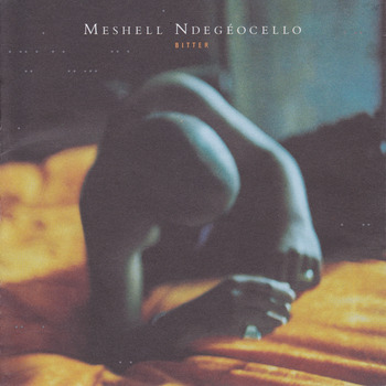 The World Has Made Me the Man of My Dreams: Meshell Ndegeocello