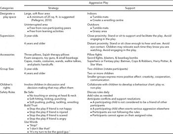 Playful Aggression in Early Childhood Settings Children