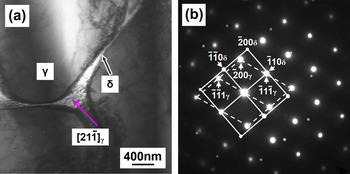 Crystallography and morphology of a lathy ferrite in Fe–Cr–Ni
