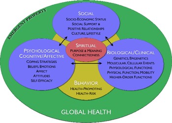 A Transdisciplinary Perspective Of Chronic Stress In Relation To ...