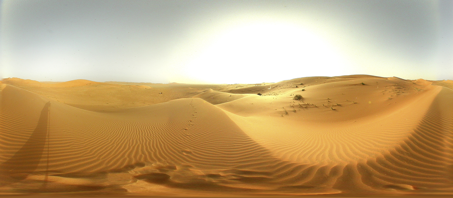 IMPORTANT PLANT AREAS IN THE ARABIAN PENINSULA: 3. ‘URUQ BANI MA‘ARID ...