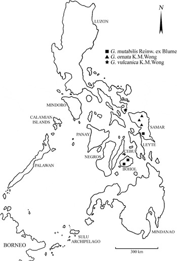 A REVISION OF PHILIPPINE GARDENIA (RUBIACEAE) | Edinburgh Journal of ...