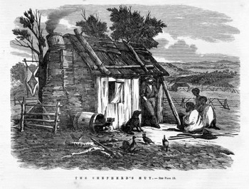 Shepherding In Colonial Australia 