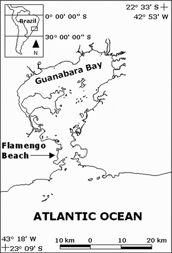 Diel Seasonality In Fish Biodiversity In A Sandy Beach In South Eastern Brazil Journal Of The Marine Biological Association Of The United Kingdom Cambridge Core