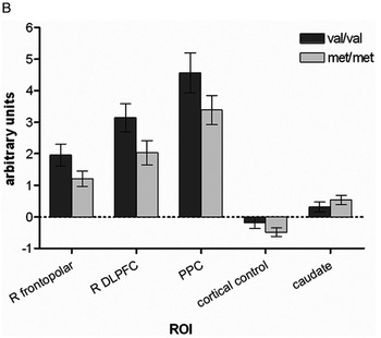 General aspects (Section 1) - Neuropsychiatric and Cognitive