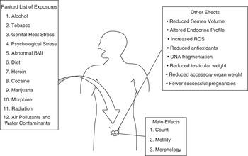 heated tobacco brands with responsive customer care Tobacco Heating System (THS)| Heat-not-Burn – PMI Science