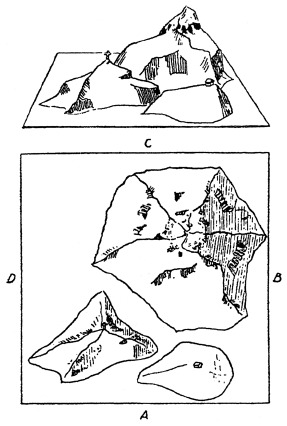 Piaget's 3 mountain online problem