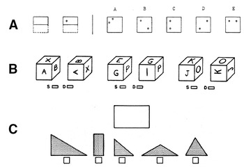 Spatial Visualisation