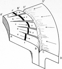 Harry Hess Develops Seafloor Spreading Chapter 3 The