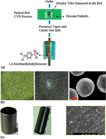 Prospects of chemical vapor grown silicon carbide thin films using