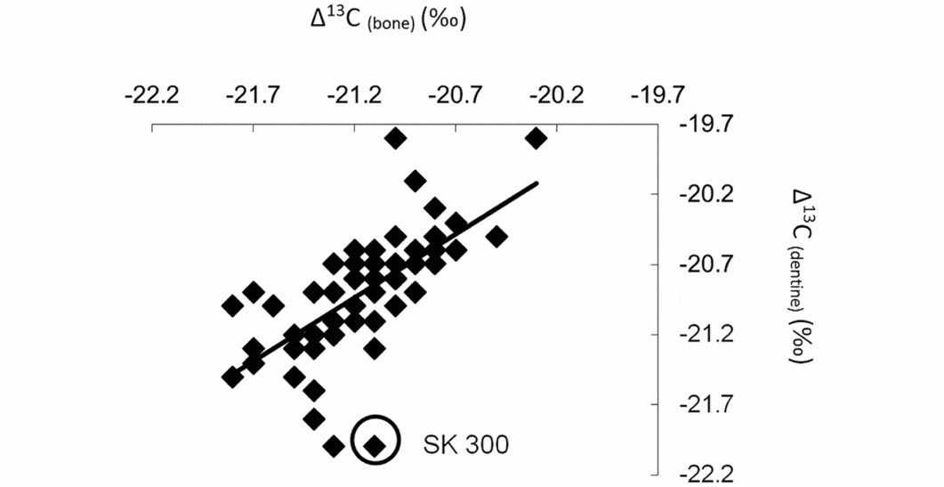 Beaker people in Britain migration, mobility and diet Antiquity