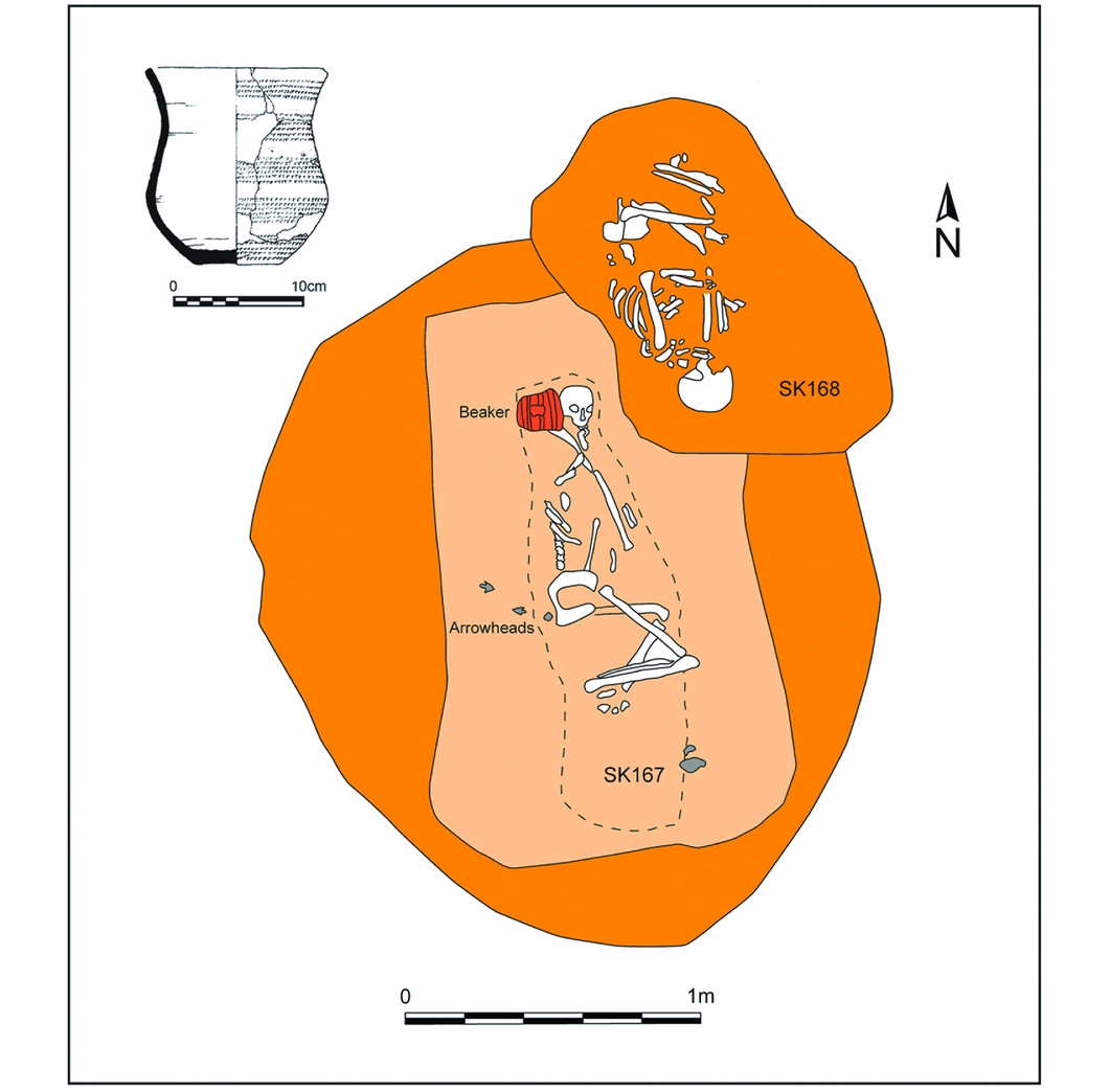 Beaker people in Britain migration, mobility and diet Antiquity
