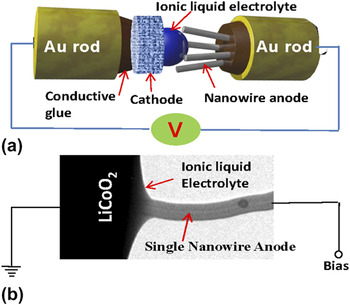 In situ transmission electron microscopy and spectroscopy studies of ...