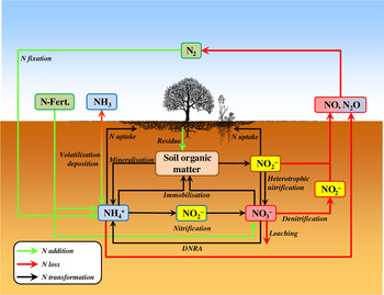 Advances in understanding nitrogen flows and transformations: gaps and ...