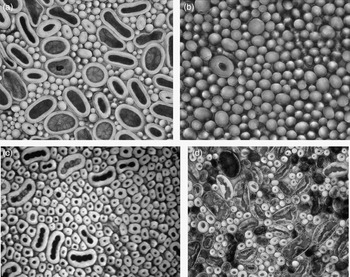 Genetics of fibre production and fleece characteristics in small