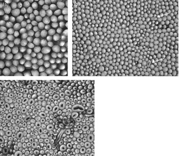 Genetics of fibre production and fleece characteristics in small