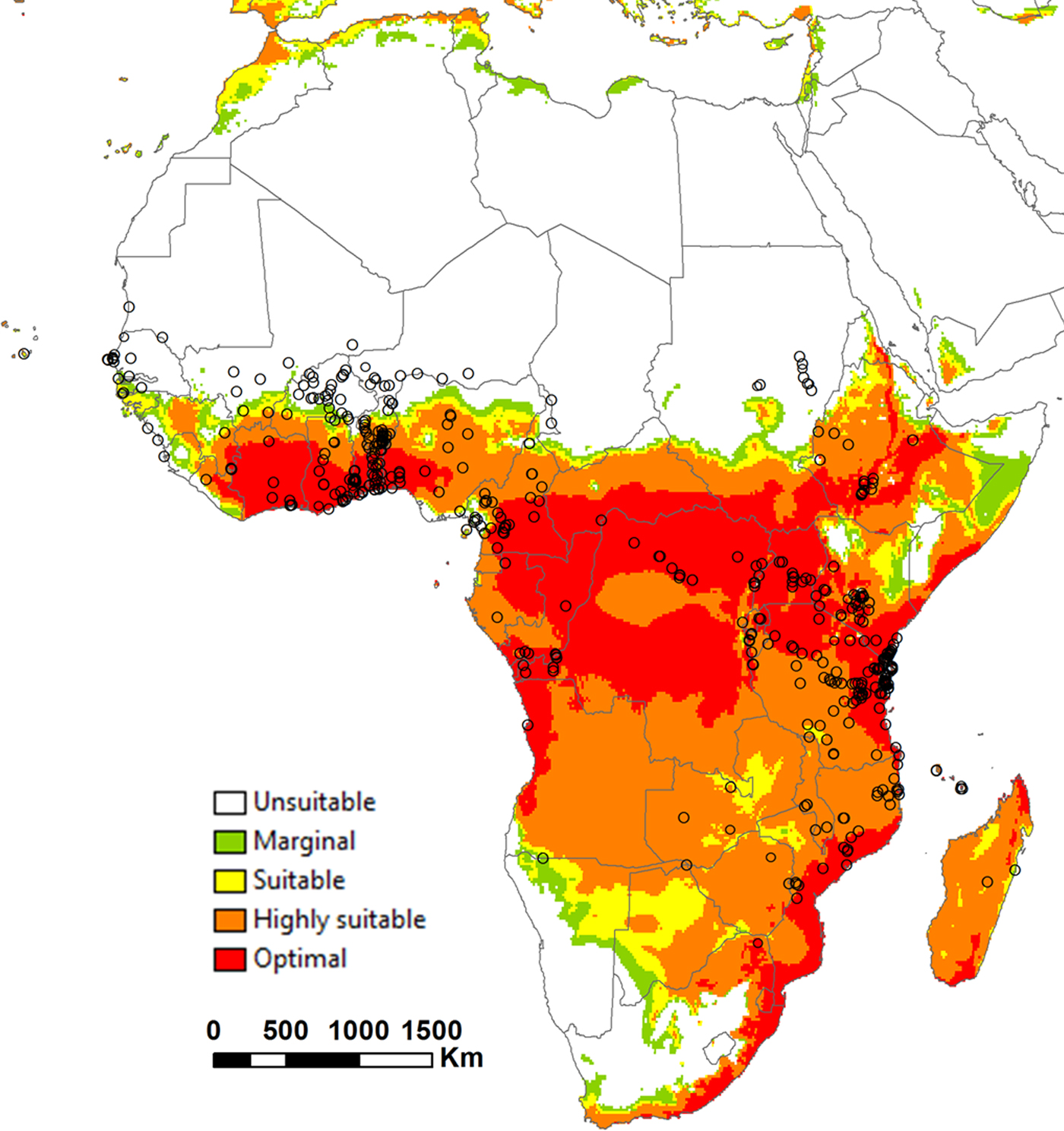 The potential distribution of Bactrocera dorsalis: considering ...