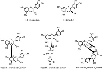 Berry Flavonoids And Phenolics: Bioavailability And Evidence Of ...