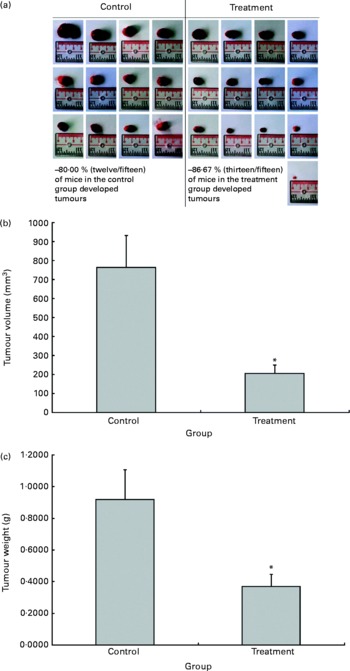 Positive outcomes of oil palm phenolics on degenerative diseases 