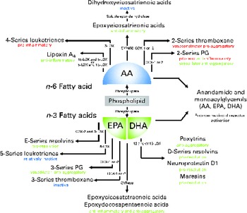 n 3 Fatty acids affect haemostasis but do not increase the risk of