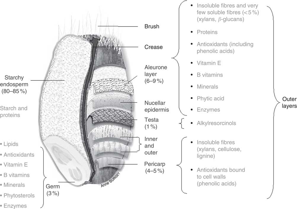 Wholegrain dietary the need for a unified global approach British Journal of
