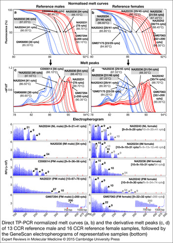 Simplified strategy for rapid first line screening of fragile X  