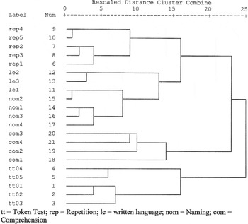 Aphasia Test - an overview