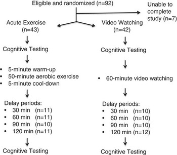 Prefrontal Cortex Exercises that Improve Memory and Attention