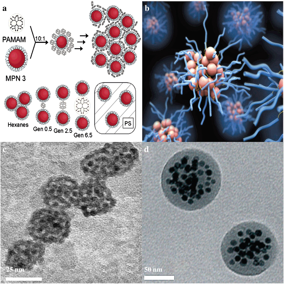 Selfassembly of nanoparticles Journal of Materials Research Cambridge Core