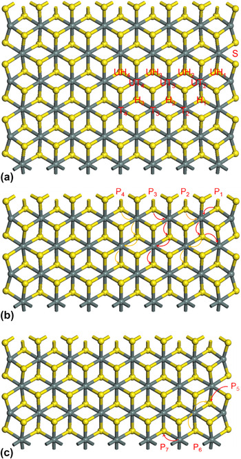 Enhanced lithium adsorption/diffusion and improved Li capacity on