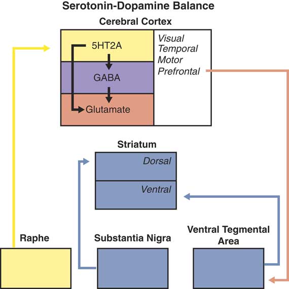 Parkinson’s disease psychosis as a serotonin-dopamine imbalance ...