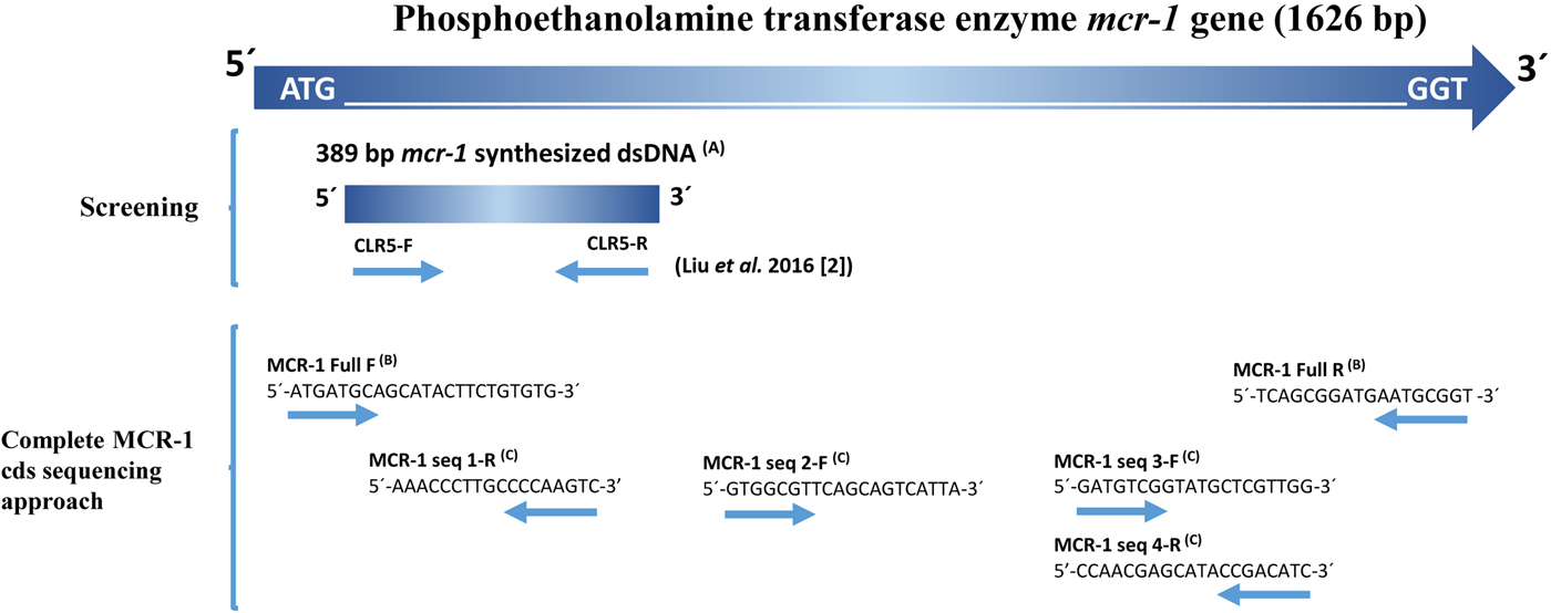 Colistin-resistant Escherichia coli clinical isolate harbouring the mcr ...