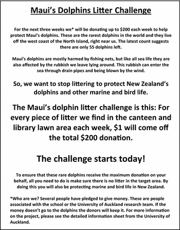 The Maui's Dolphin Challenge: Lessons From a School-Based Litter Reduction Project | Australian Journal of Environmental Education | Cambridge Core