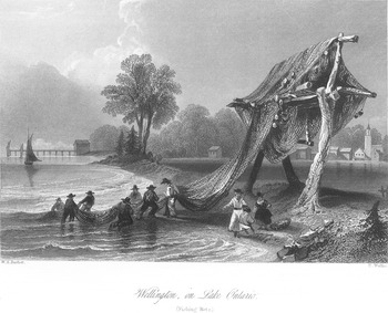 A SORRY TALE: NATIVES, SETTLERS, AND THE SALMON OF LAKE ONTARIO, 1780–1900*, The Historical Journal