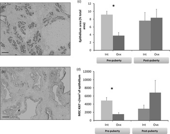 Role of ovarian secretions in mammary gland development and  