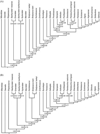 Frontiers  Allometric and Phylogenetic Aspects of Stapes