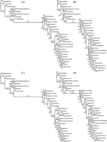 Frontiers  Allometric and Phylogenetic Aspects of Stapes