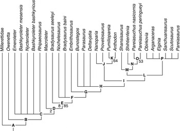 Frontiers  Allometric and Phylogenetic Aspects of Stapes