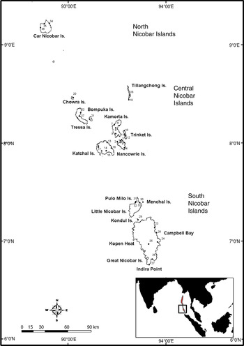 Diversity, distribution and status of bats on the Andaman and Nicobar ...