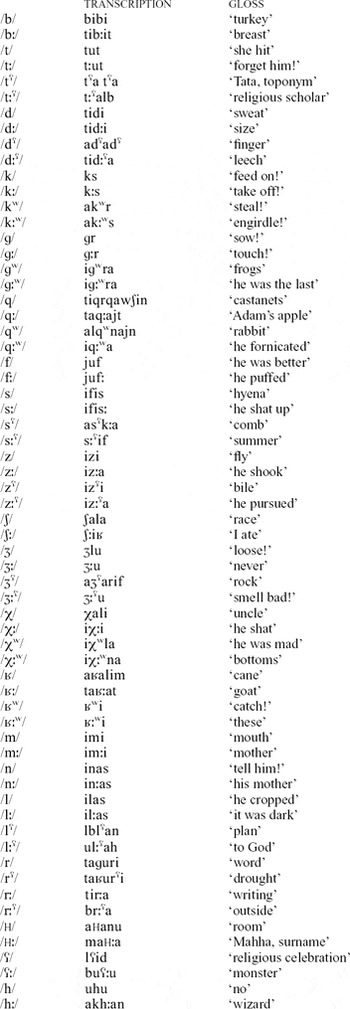 Tashlhiyt Berber | Journal of the International Phonetic Association ...