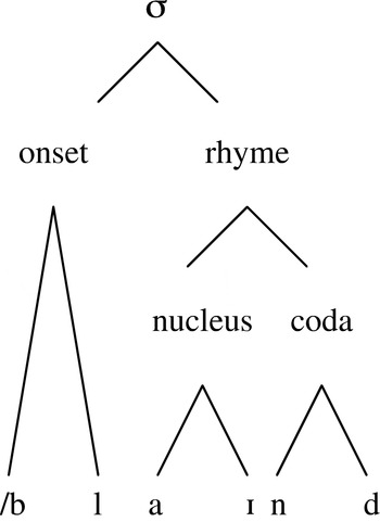 sonority hierarchy chart