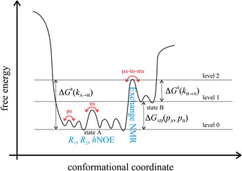 Functional protein dynamics on uncharted time scales detected by  nanoparticle-assisted NMR spin relaxation