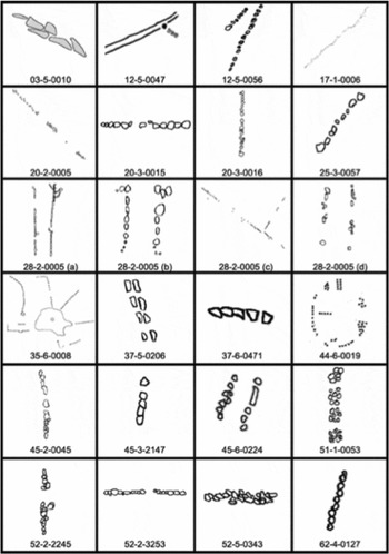 Dawes Review 5: Australian Aboriginal Astronomy And Navigation ...