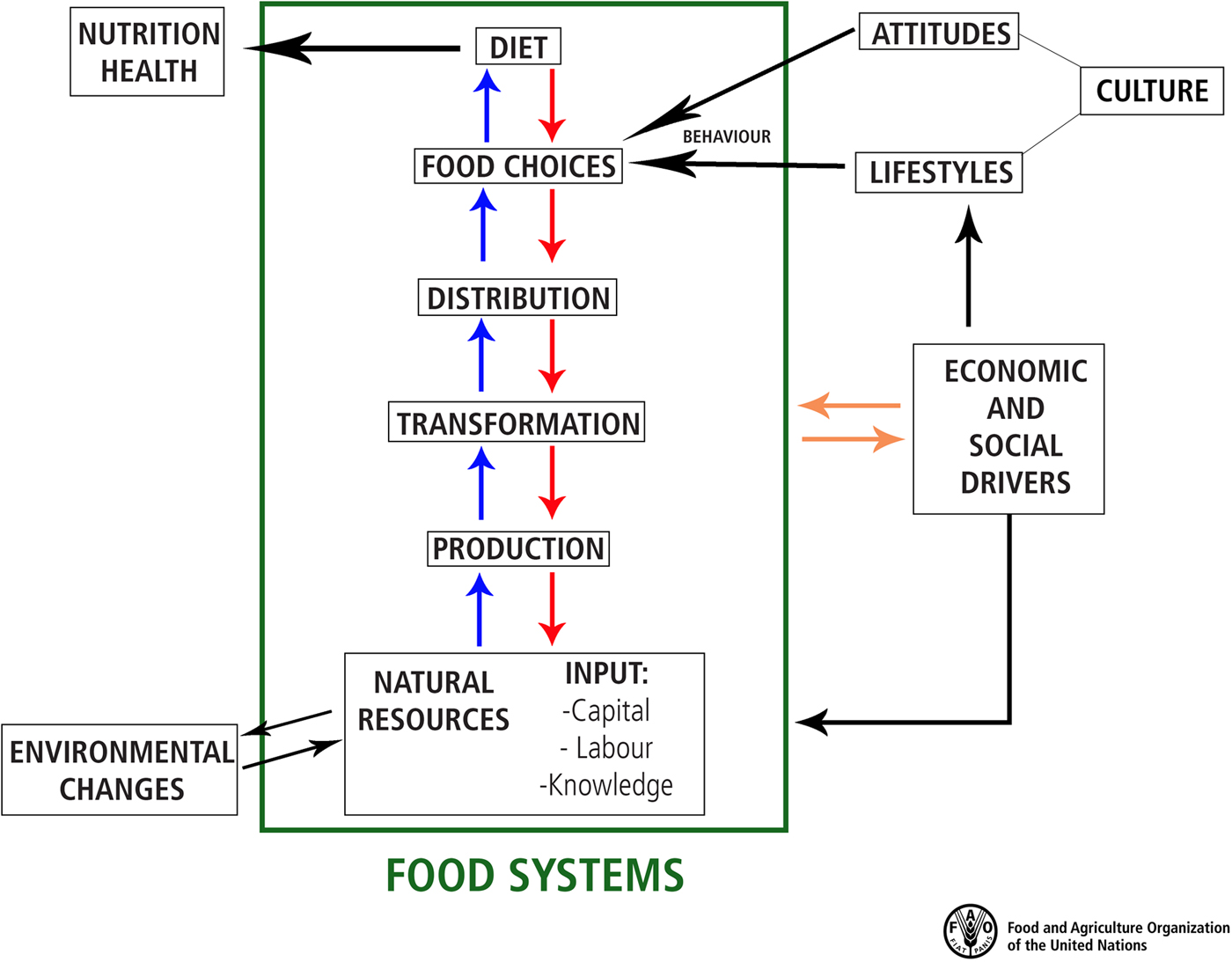 Sustainable Diets Within Sustainable Food Systems Proceedings Of The Nutrition Society 1436