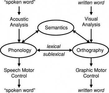 Combining treatment for written and spoken naming | Journal of the ...