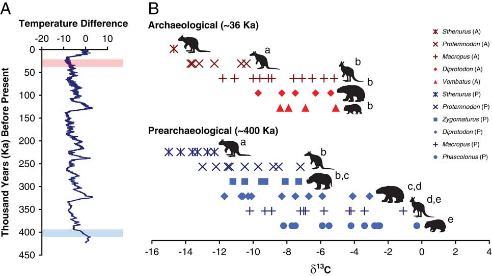 Dietary responses of Sahul (Pleistocene Australia–New Guinea) megafauna ...
