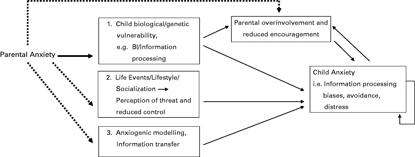 The development of anxiety disorders in childhood: an integrative ...